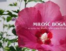 heroiczna milosc boga w zyciu sw j